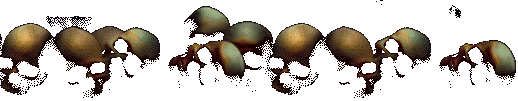 row.gif