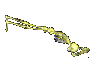 skullworm.gif